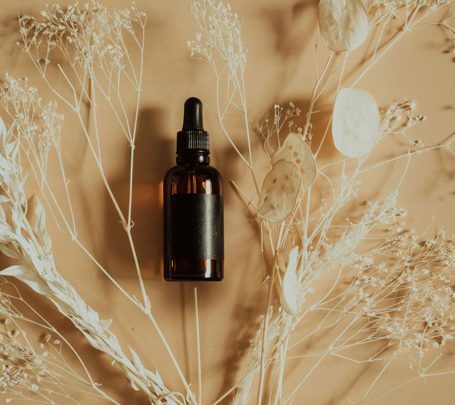 From the Inside Out: How Gut Health Shapes Your Skin, Energy & Mood