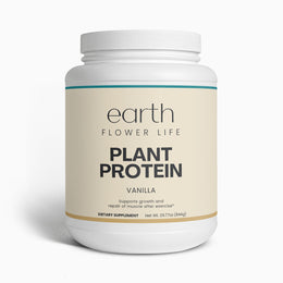 Plant Protein (Vanilla)