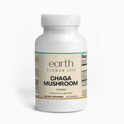 Chaga Mushroom