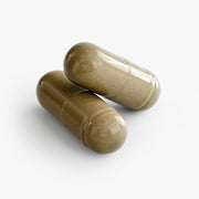 Ginkgo Biloba + Ginseng Supplement | Boost Energy & Mental Focus