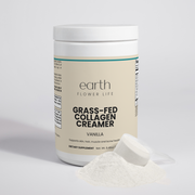 Grass-Fed Collagen Creamer (Vanilla) | Smooth, Nutritious, Skin & Joint Support